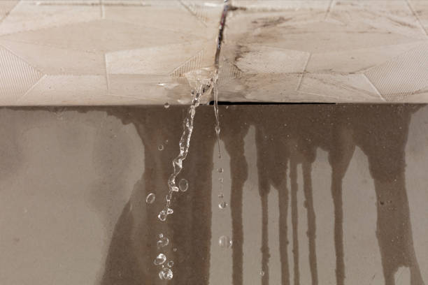 Professional Water Damage Repair technician working in Lipan, TX